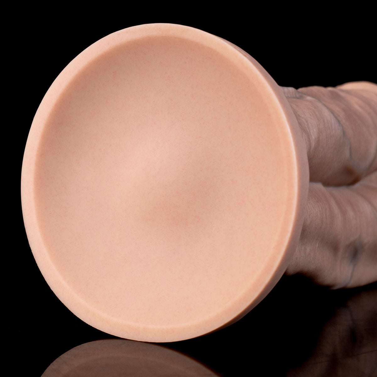 Hermavex multi cock dildo, underside of the integrated suction base